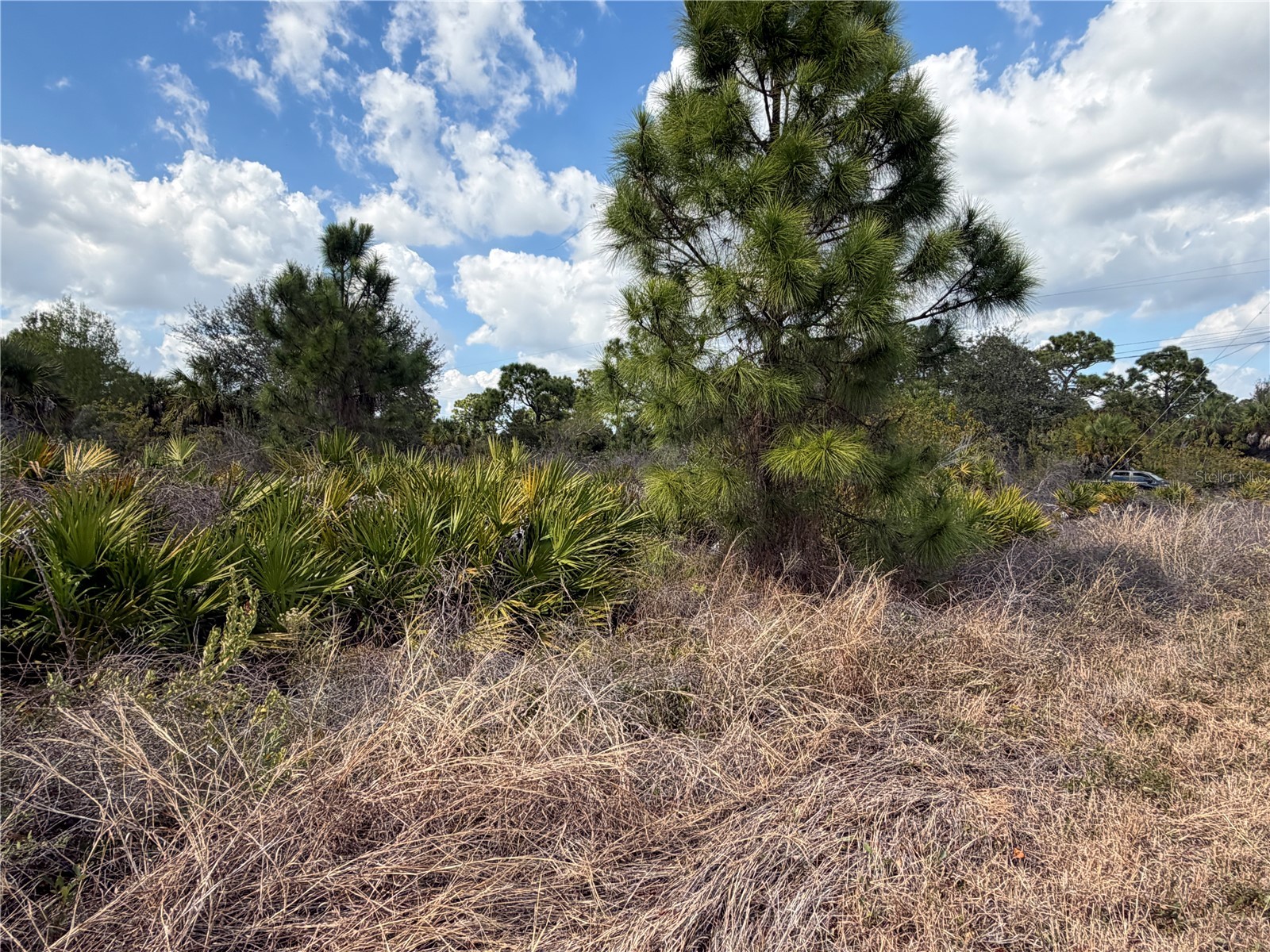524 Columbus Boulevard S Lehigh Acres FL 33974 TB8478809 image4