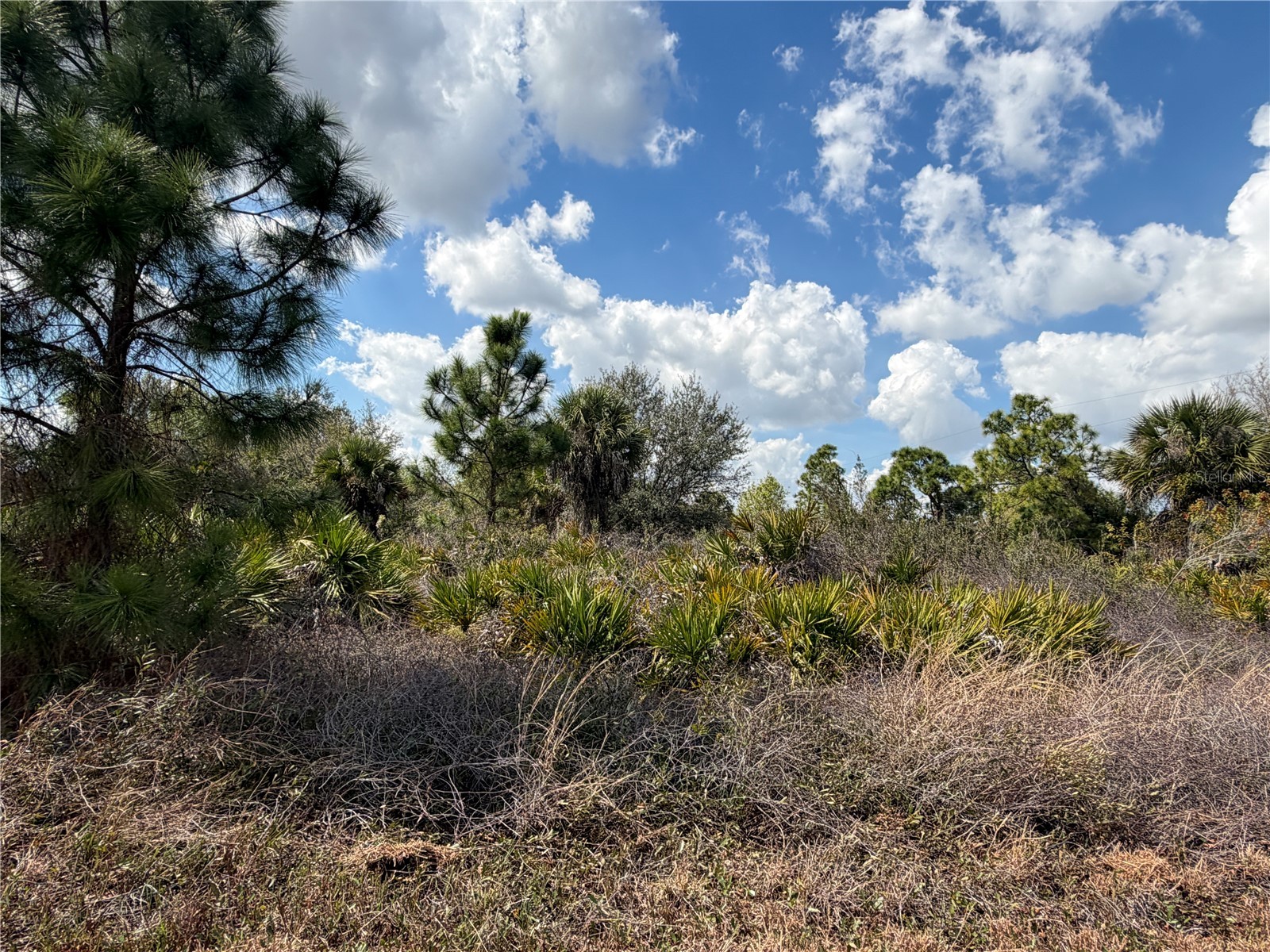 524 Columbus Boulevard S Lehigh Acres FL 33974 TB8478809 image5