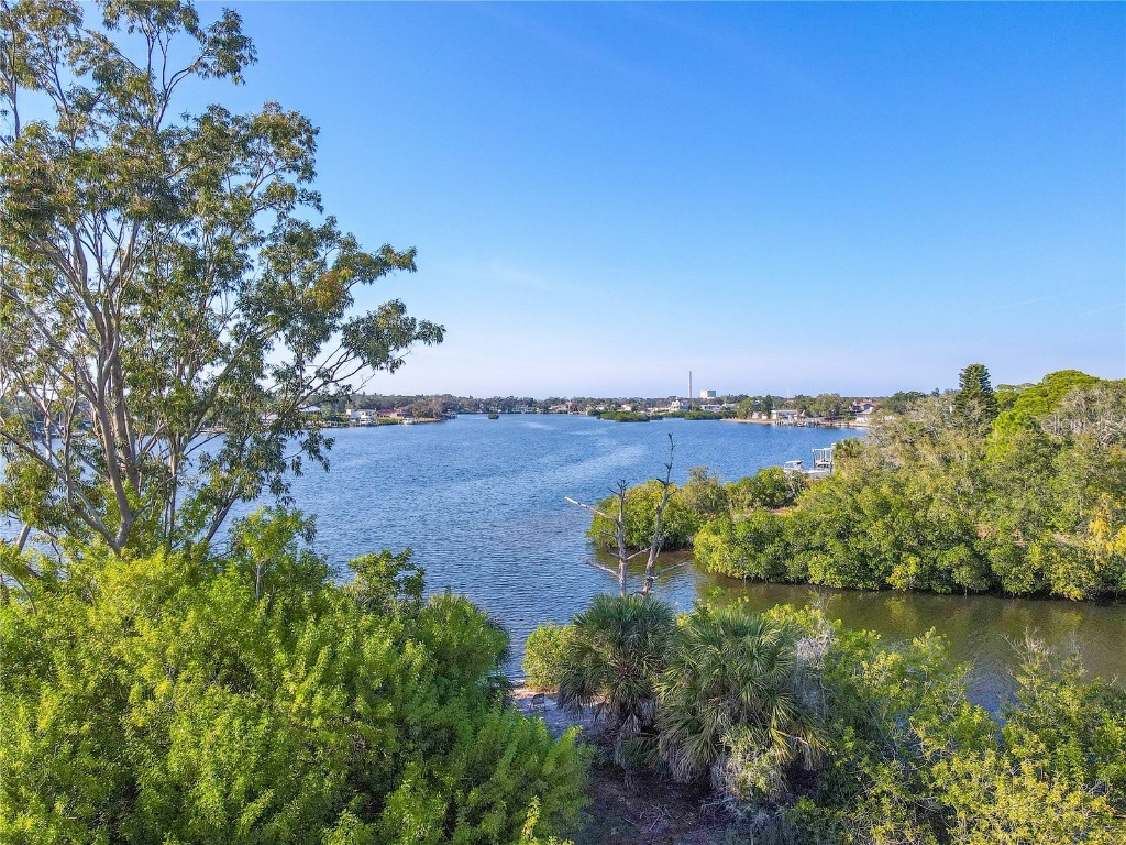 524 Doric Court Tarpon Springs FL 34689 TB8379346 image4