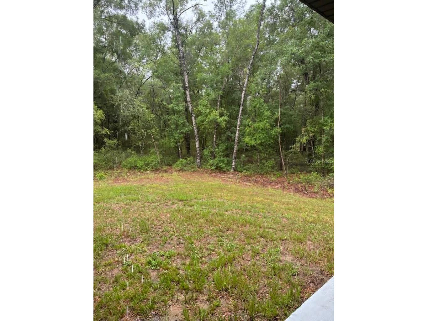 524 E Avondale Drive Dunnellon FL 34434 OM724733 image8