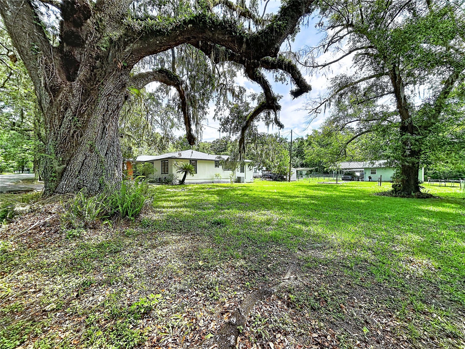 524 East Avenue Brooksville FL 34601 TB8515083 image51