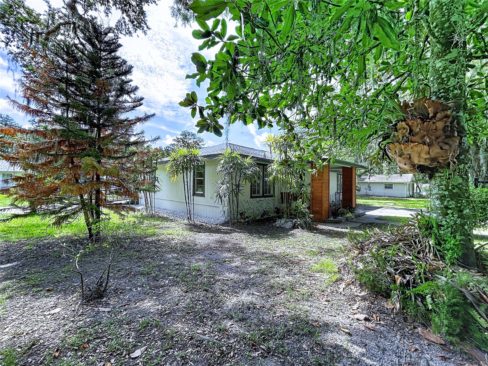 524 East Avenue Brooksville FL 34601 TB8515083 image6