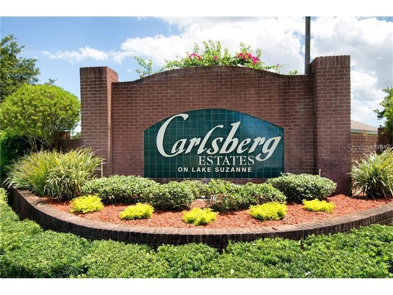 524 Lake Suzanne Drive Lake Wales FL 33859 - LAKE SUZANNE P4933513 image58