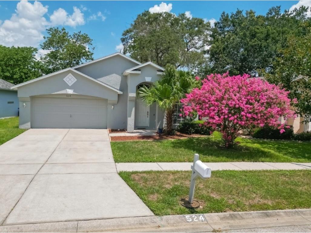 524 Napa Valley Circle Valrico FL 33594 T3456717 image1