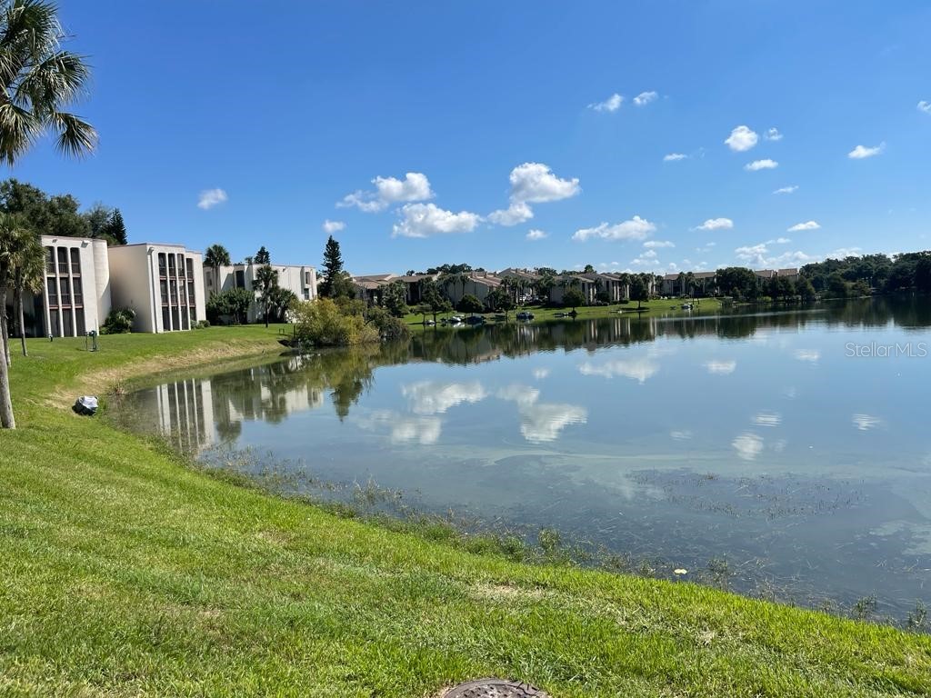 524 Orange Drive #11 Altamonte Springs FL 32701 O6365134 image27