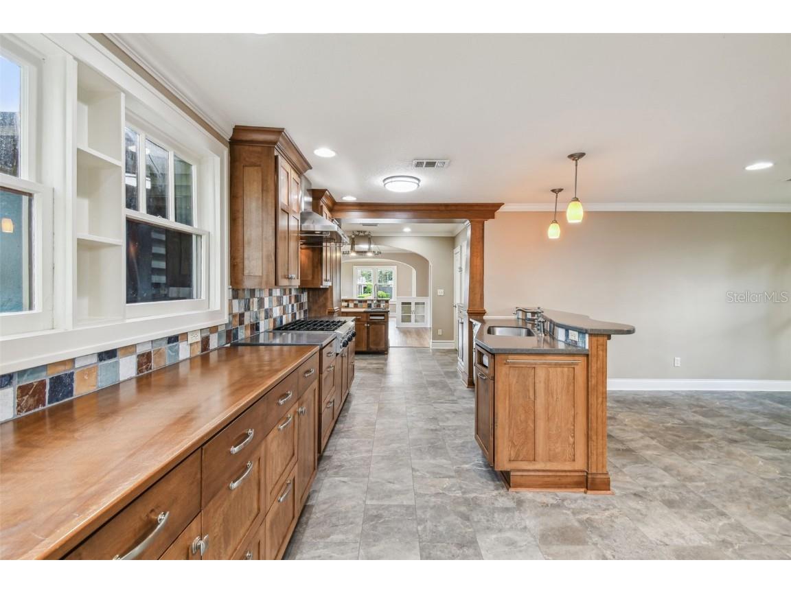 524 S Lakeview Avenue Winter Garden FL 34787 O6320452 image19