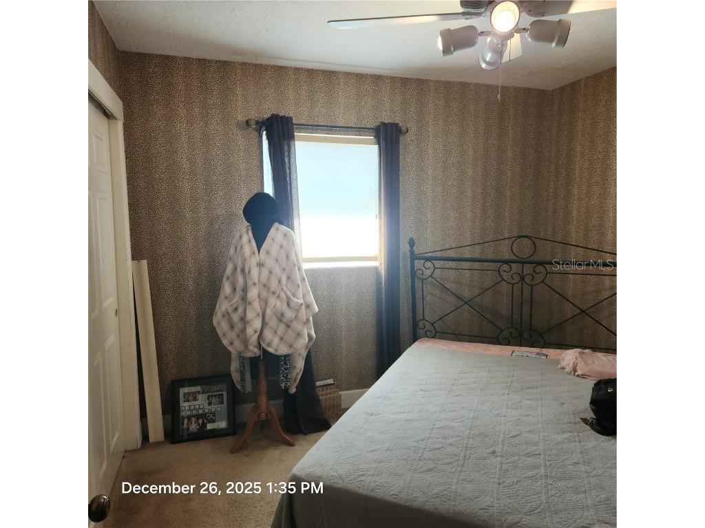 524 Sarabay Road Osprey FL 34229 A4676179 image24