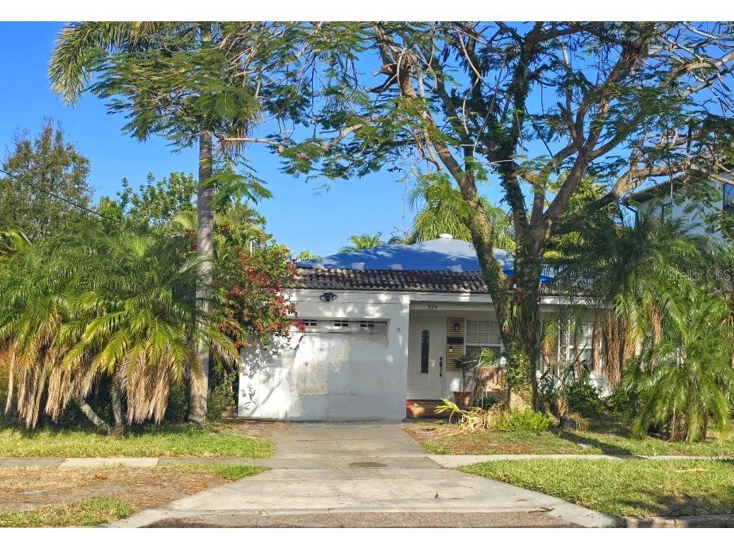 524 Suwanee Circle Tampa FL 33606 TB8337500 image1