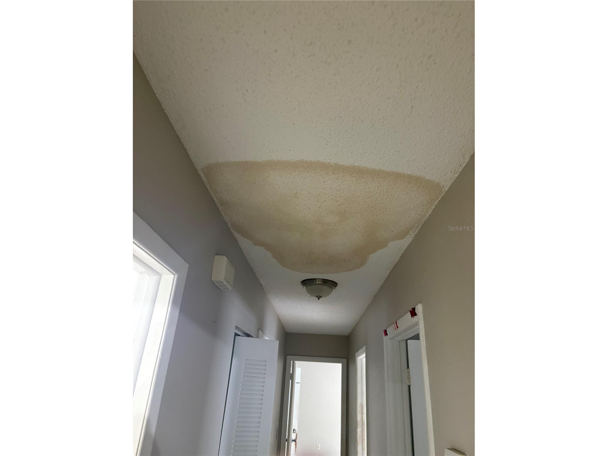 524 Wynnwood Drive Brandon FL 33511 TB8515149 image22