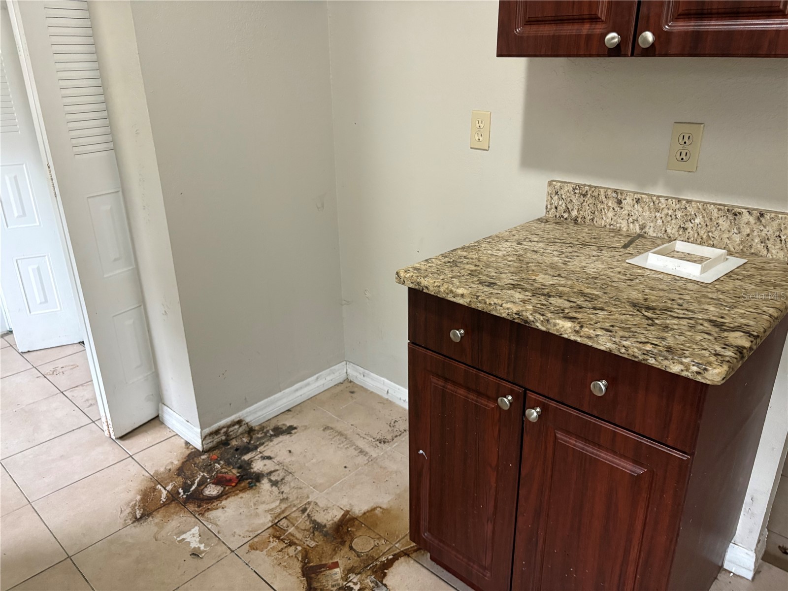 524 Wynnwood Drive Brandon FL 33511 TB8515149 image30