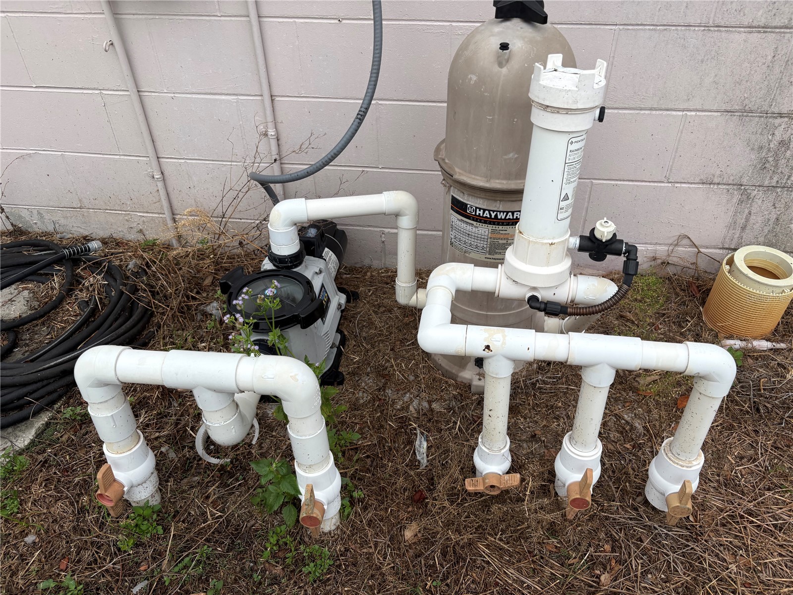 524 Wynnwood Drive Brandon FL 33511 TB8515149 image39