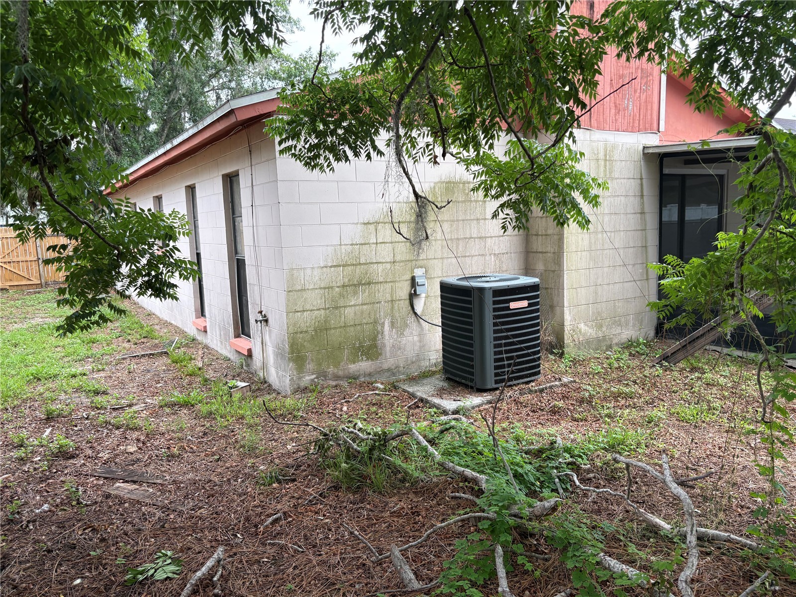 524 Wynnwood Drive Brandon FL 33511 TB8515149 image4