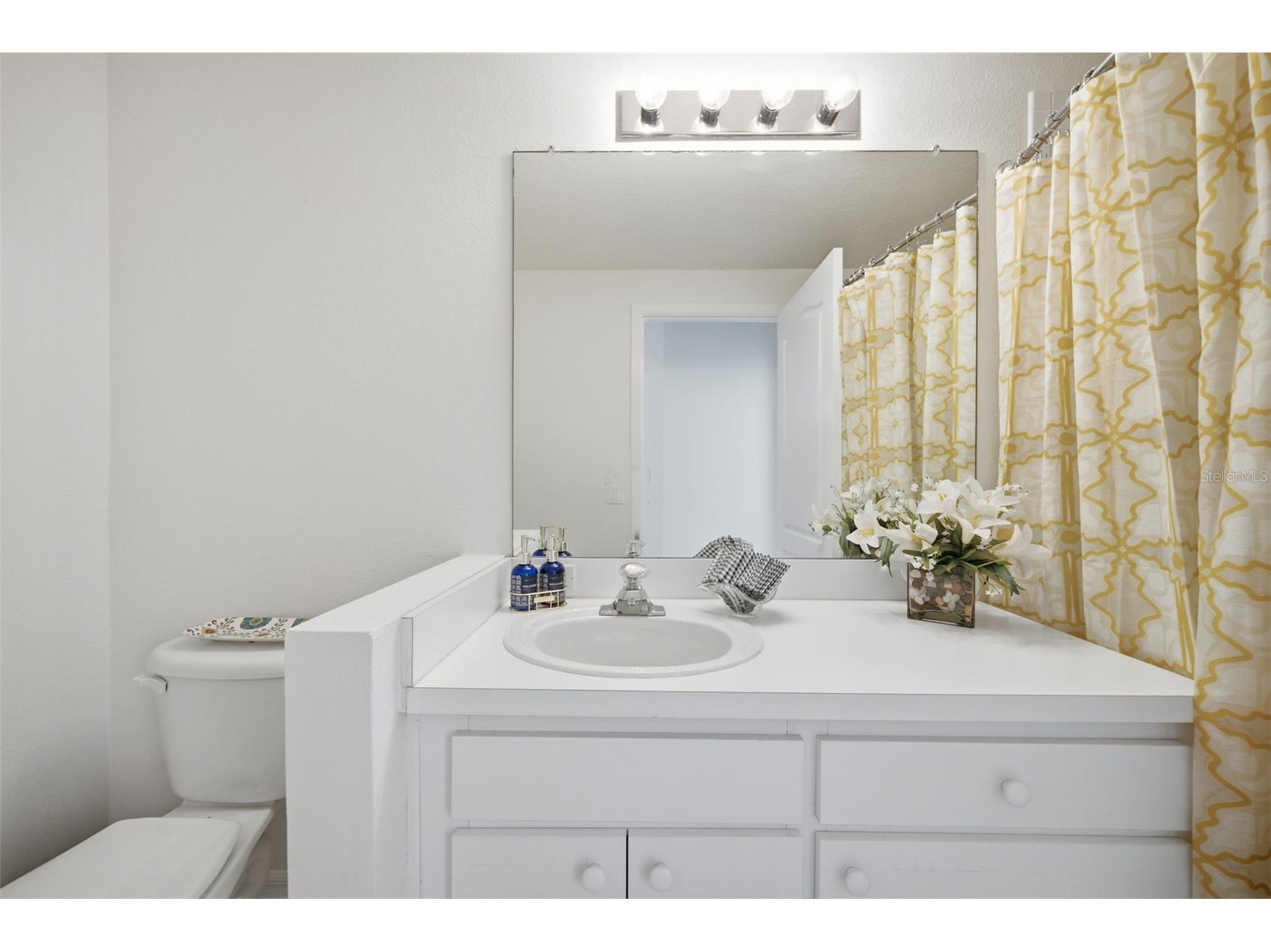 5240 Gato Del Sol Circle Wesley Chapel FL 33544 TB8521589 image11