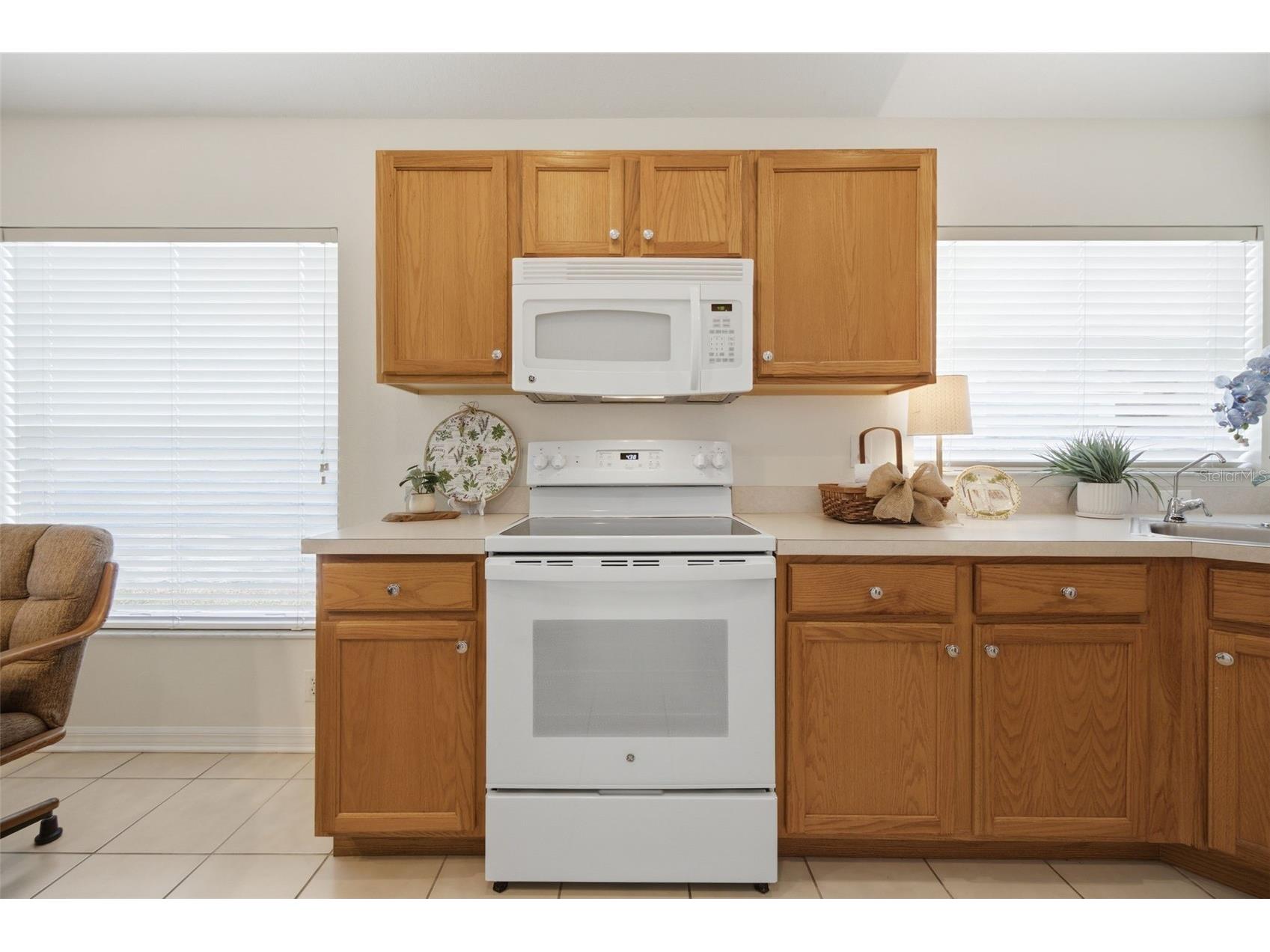 5240 Gato Del Sol Circle Wesley Chapel FL 33544 TB8521589 image20