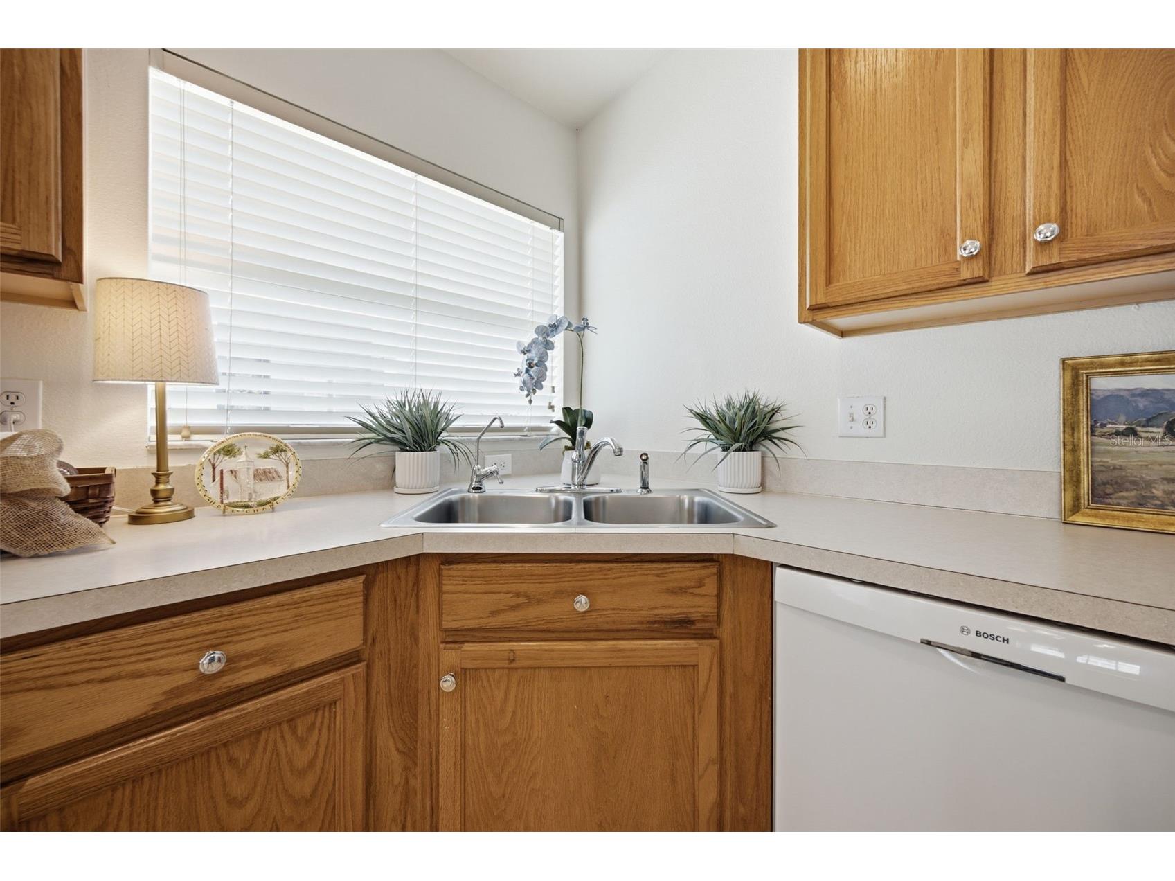 5240 Gato Del Sol Circle Wesley Chapel FL 33544 TB8521589 image21