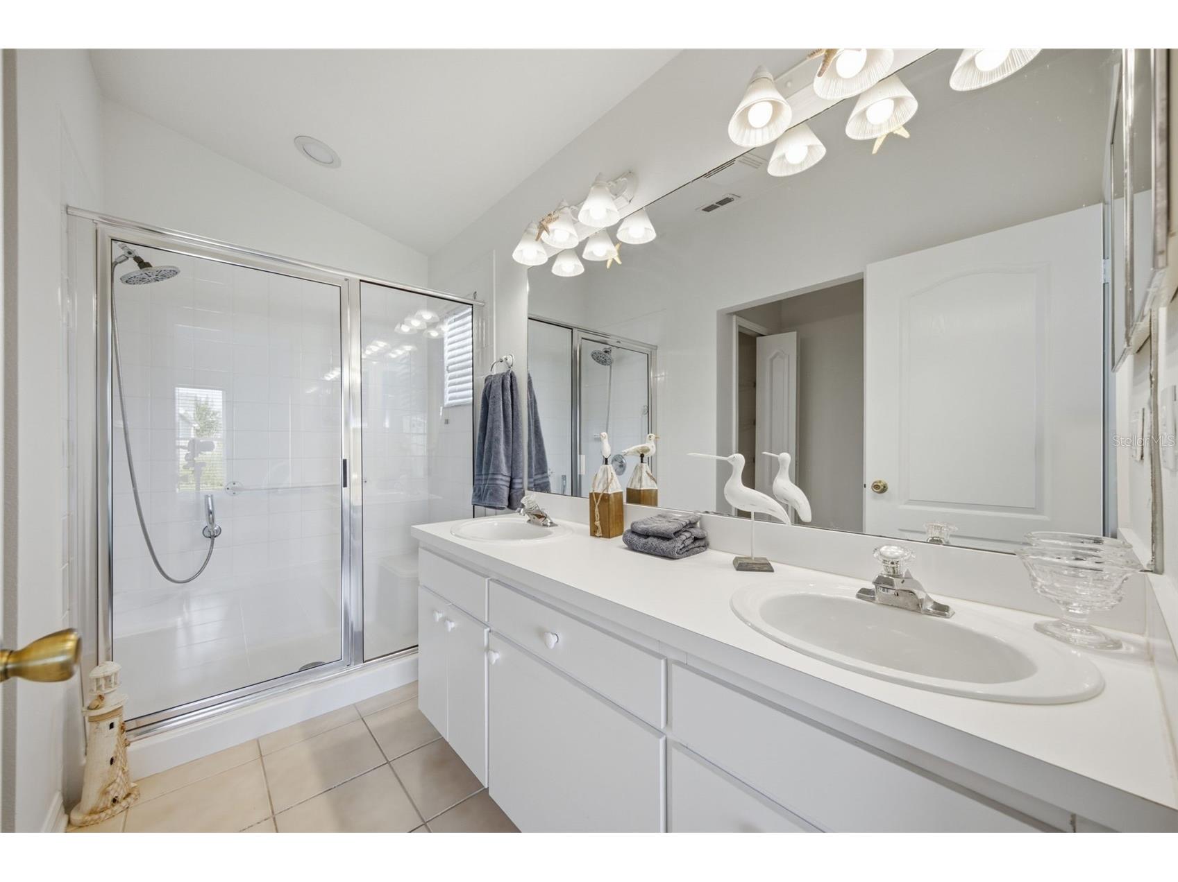 5240 Gato Del Sol Circle Wesley Chapel FL 33544 TB8521589 image26