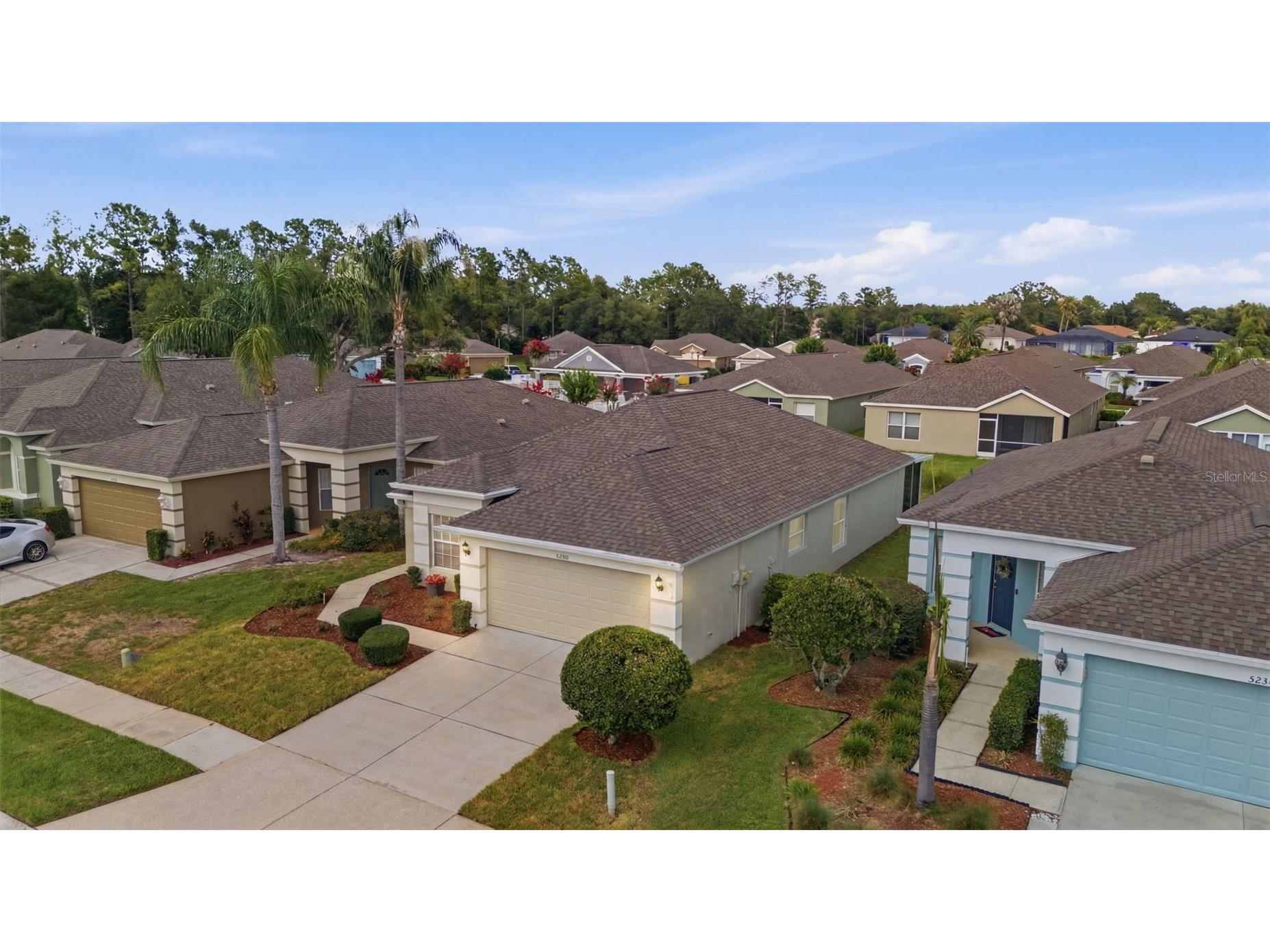 5240 Gato Del Sol Circle Wesley Chapel FL 33544 TB8521589 image38