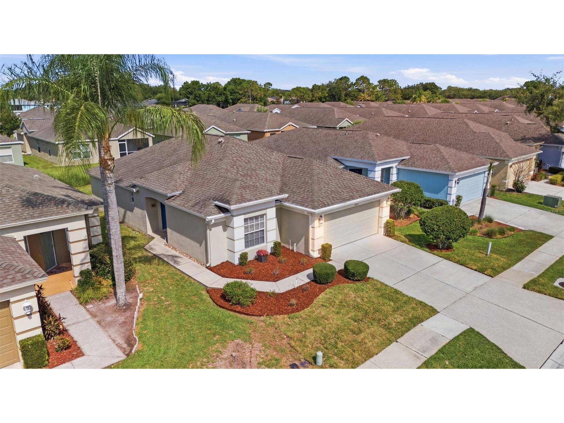 5240 Gato Del Sol Circle Wesley Chapel FL 33544 TB8521589 image39