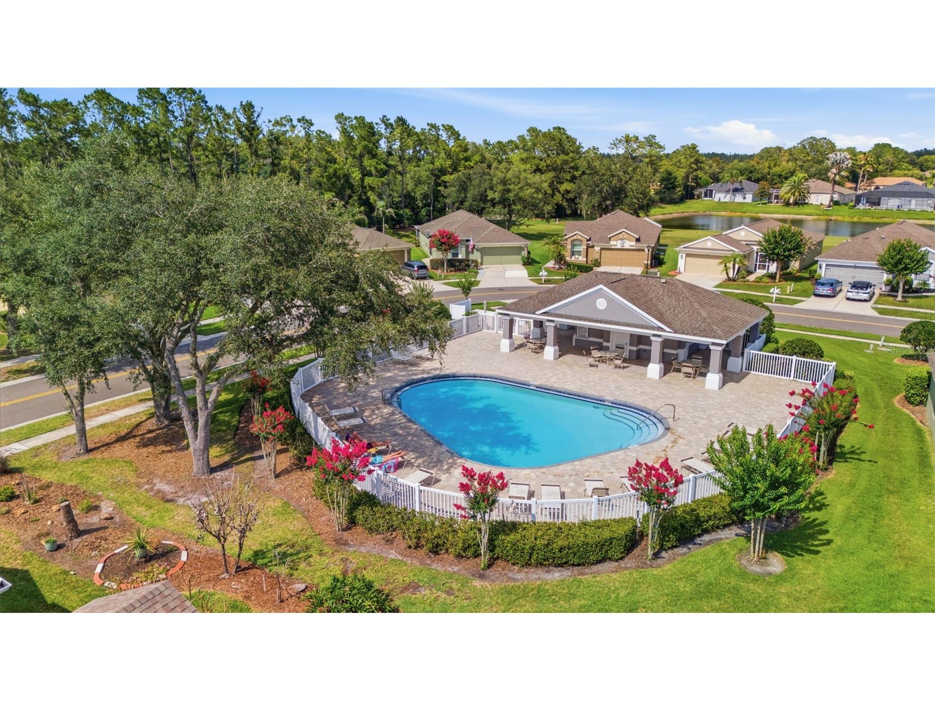 5240 Gato Del Sol Circle Wesley Chapel FL 33544 TB8521589 image45