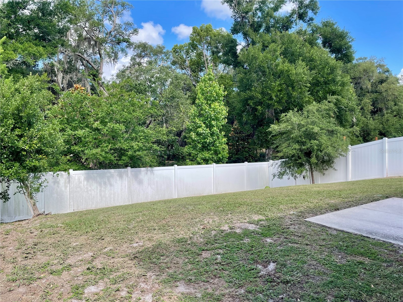 5240 Meadow Song Drive Okahumpka FL 34762 O6408893 image29
