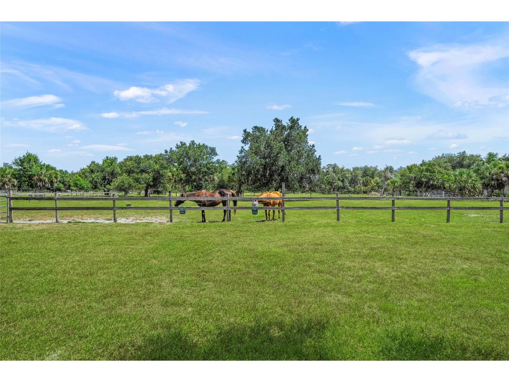 5240 Myakka Valley Trail Sarasota FL 34241 A4696680 image51