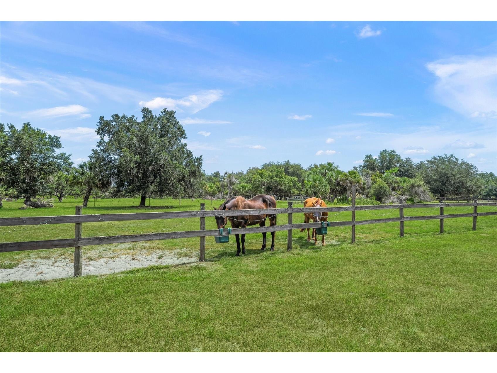 5240 Myakka Valley Trail Sarasota FL 34241 A4696680 image52