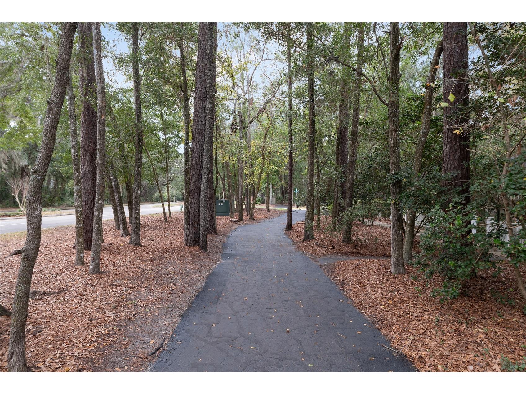 5240 SW 92nd Court Gainesville FL 32608 O6373931 image57