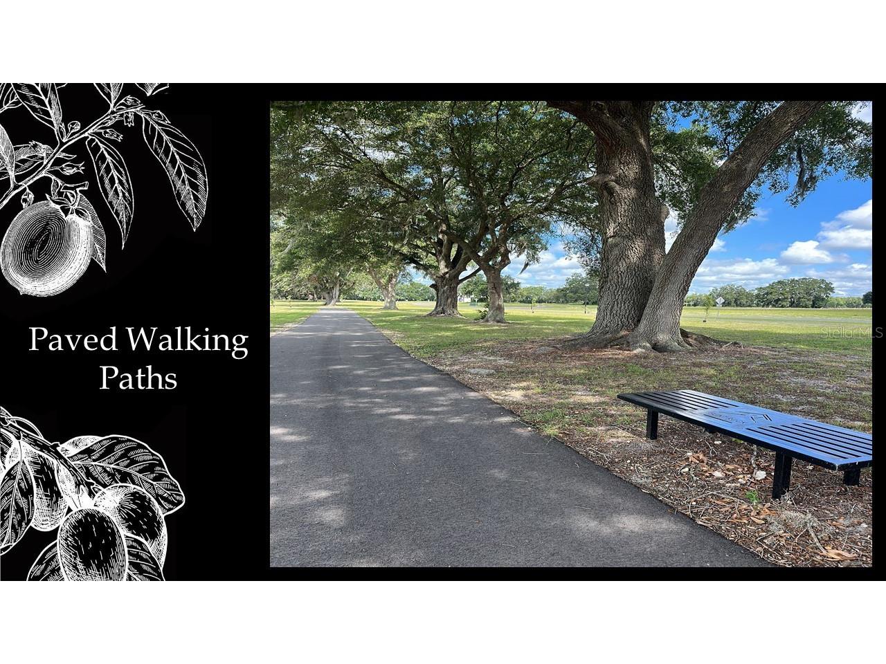 5241 SW 125th Circle Archer FL 32618 GC522367 image14