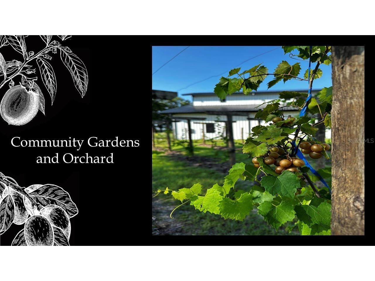 5241 SW 125th Circle Archer FL 32618 GC522367 image15