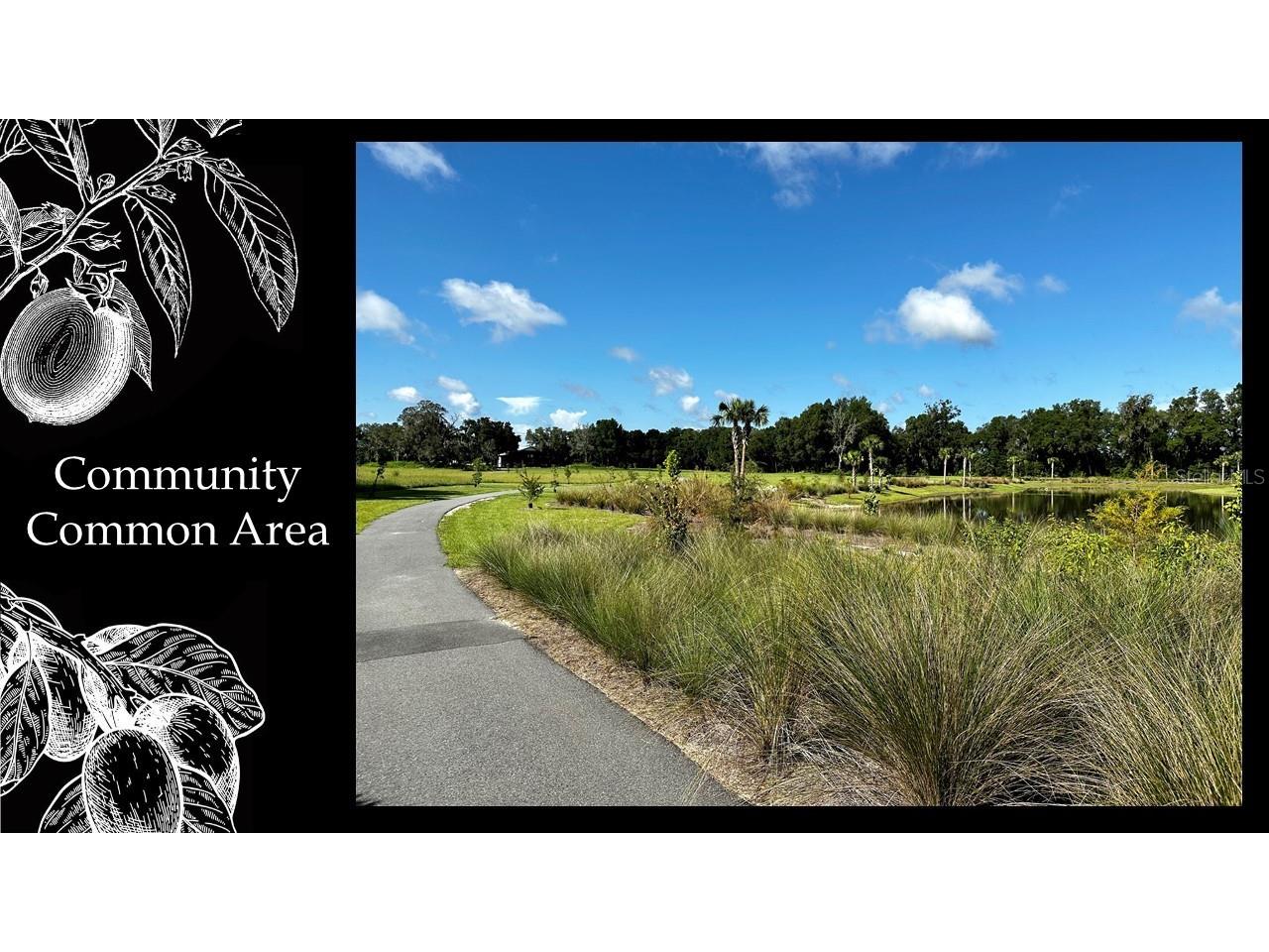 5241 SW 125th Circle Archer FL 32618 GC522367 image17