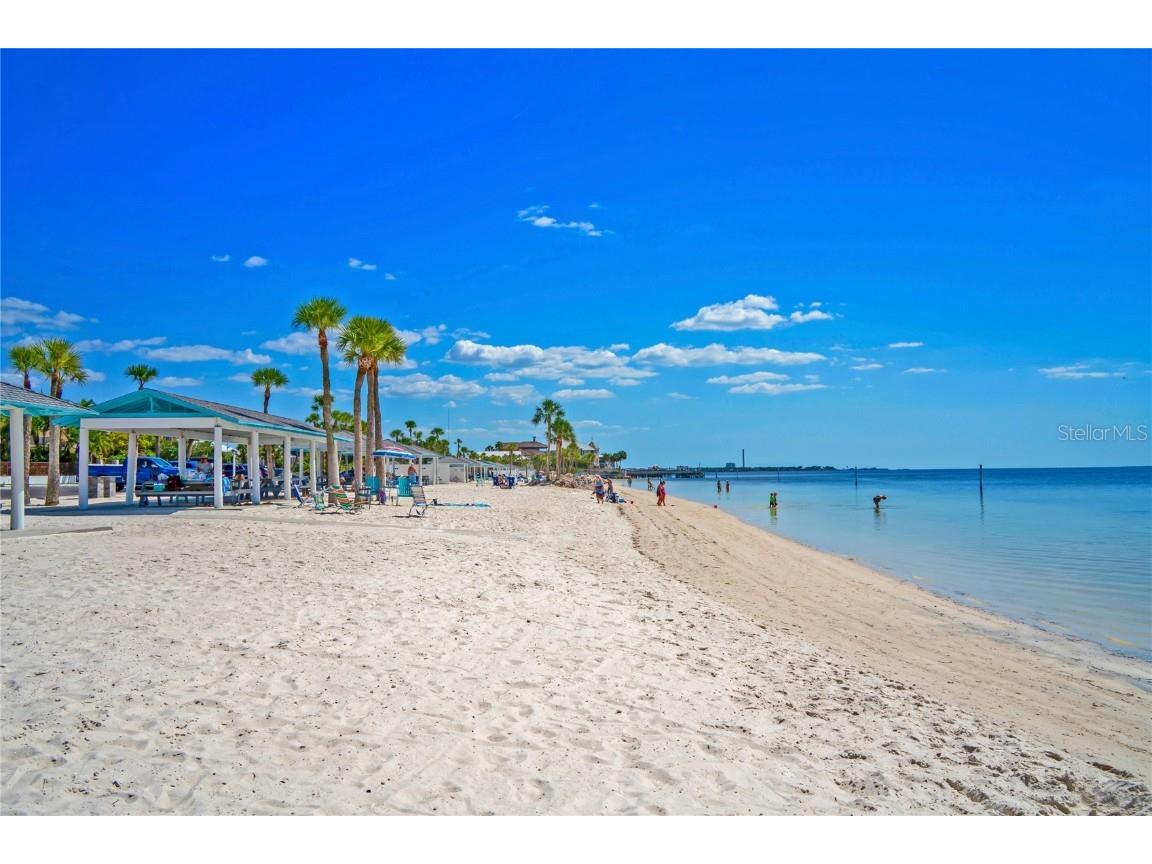 5242 Opal Lane #207 New Port Richey FL 34652 W7879556 image47