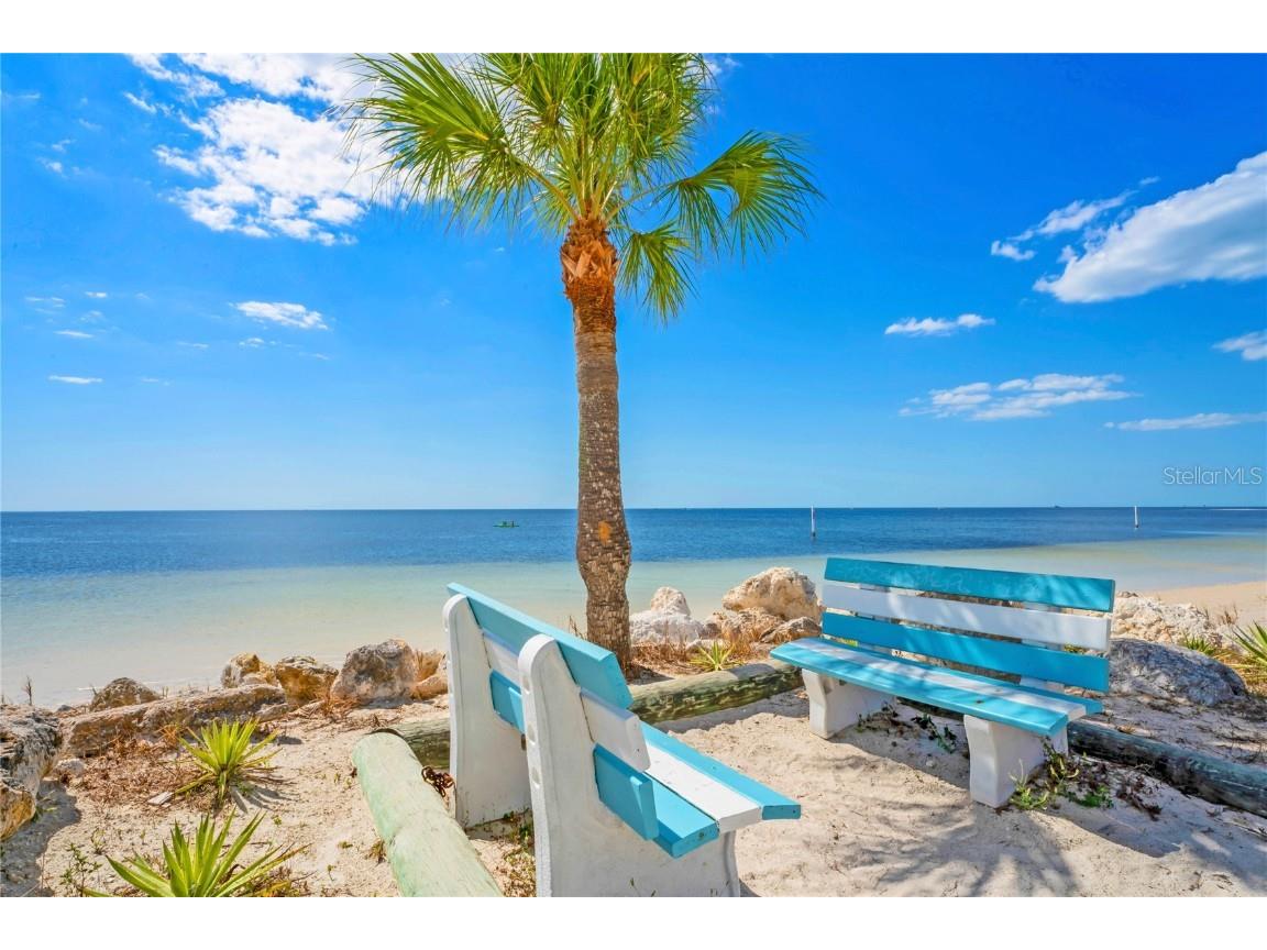 5242 Opal Lane #207 New Port Richey FL 34652 W7879556 image53