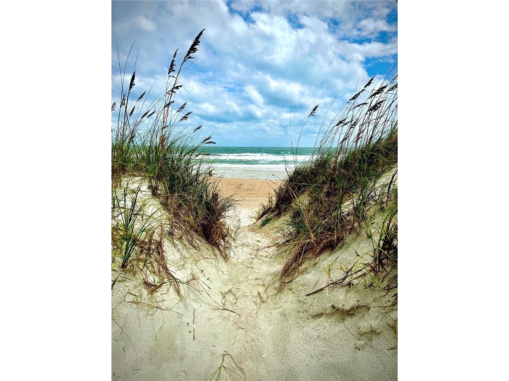 5242 Sea Chase Drive Drive #1 Fernandina Beach FL 32034 TB8419822 image4