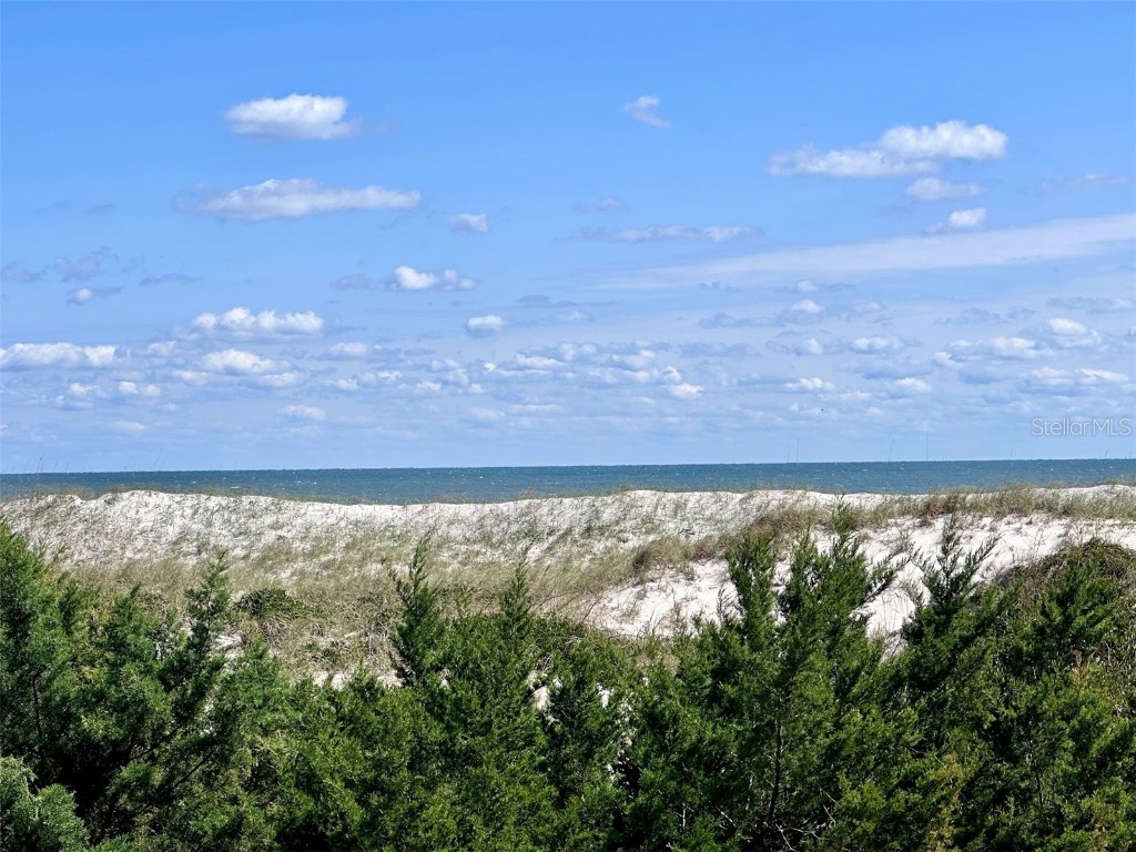 5242 Sea Chase Drive Drive #1 Fernandina Beach FL 32034 TB8419822 image47