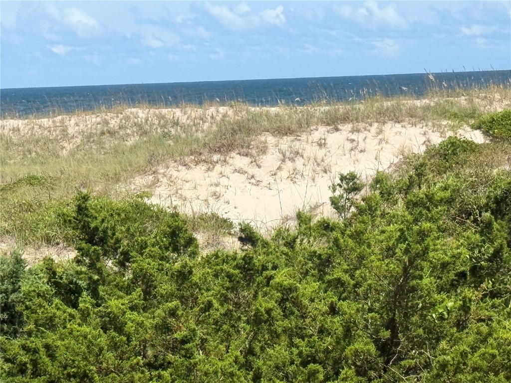 5242 Sea Chase Drive Drive #1 Fernandina Beach FL 32034 TB8419822 image48