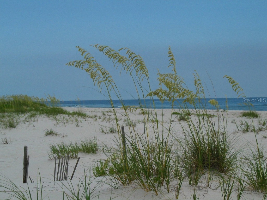 5242 Sea Chase Drive Drive #1 Fernandina Beach FL 32034 TB8419822 image5