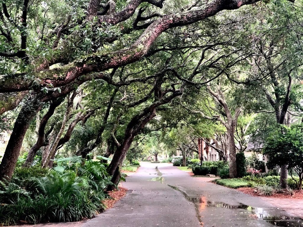 5242 Sea Chase Drive Drive #1 Fernandina Beach FL 32034 TB8419822 image6