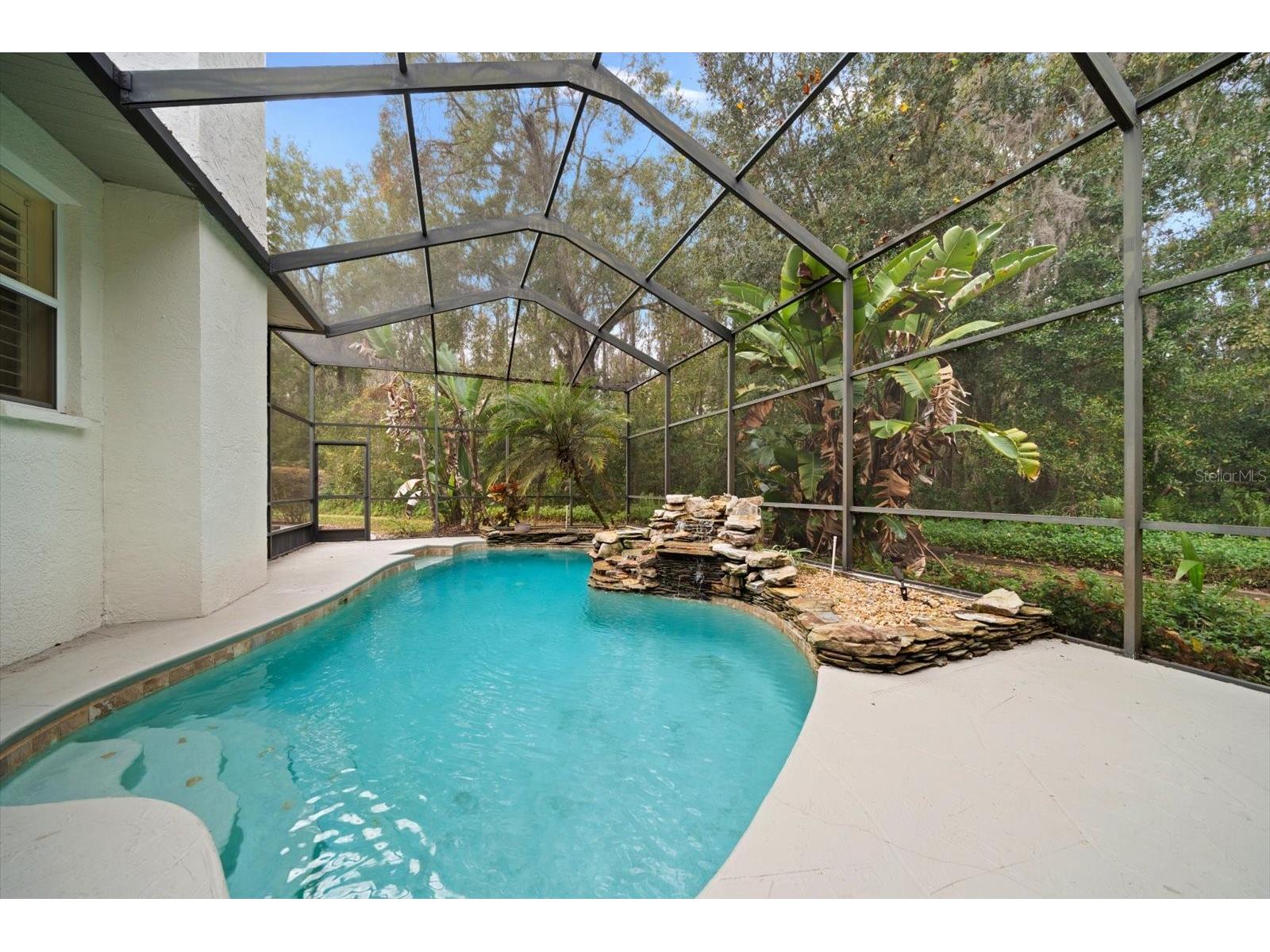 5243 Foxhunt Drive Wesley Chapel FL 33543 TB8462307 image38