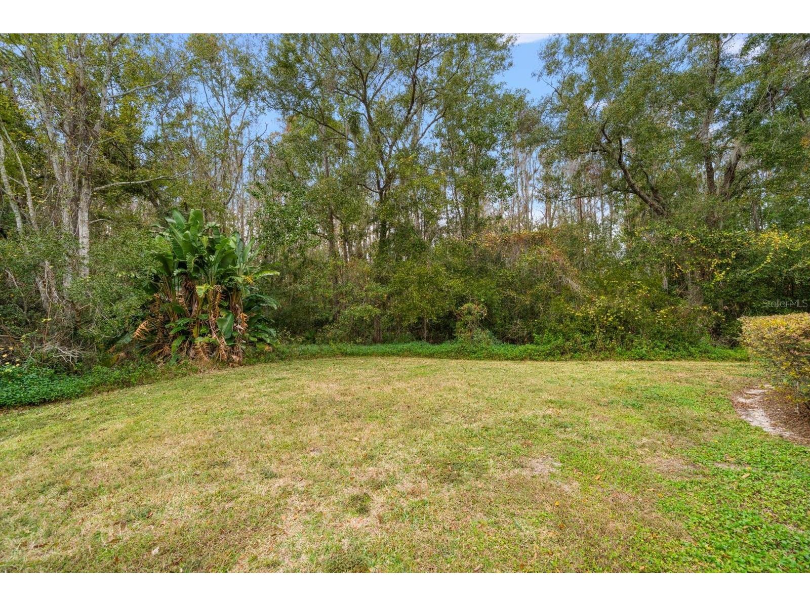 5243 Foxhunt Drive Wesley Chapel FL 33543 TB8462307 image41