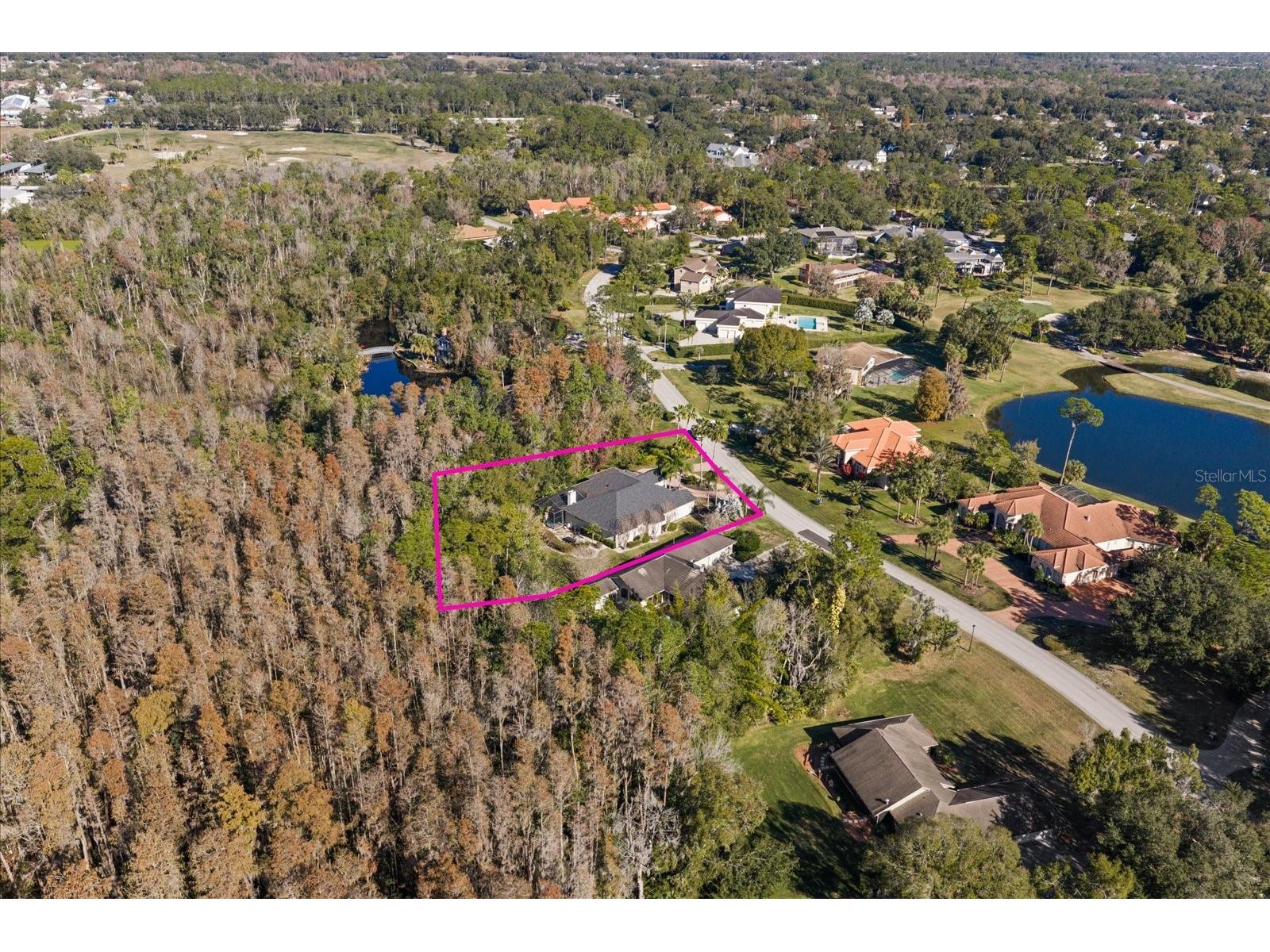 5243 Foxhunt Drive Wesley Chapel FL 33543 TB8462307 image42