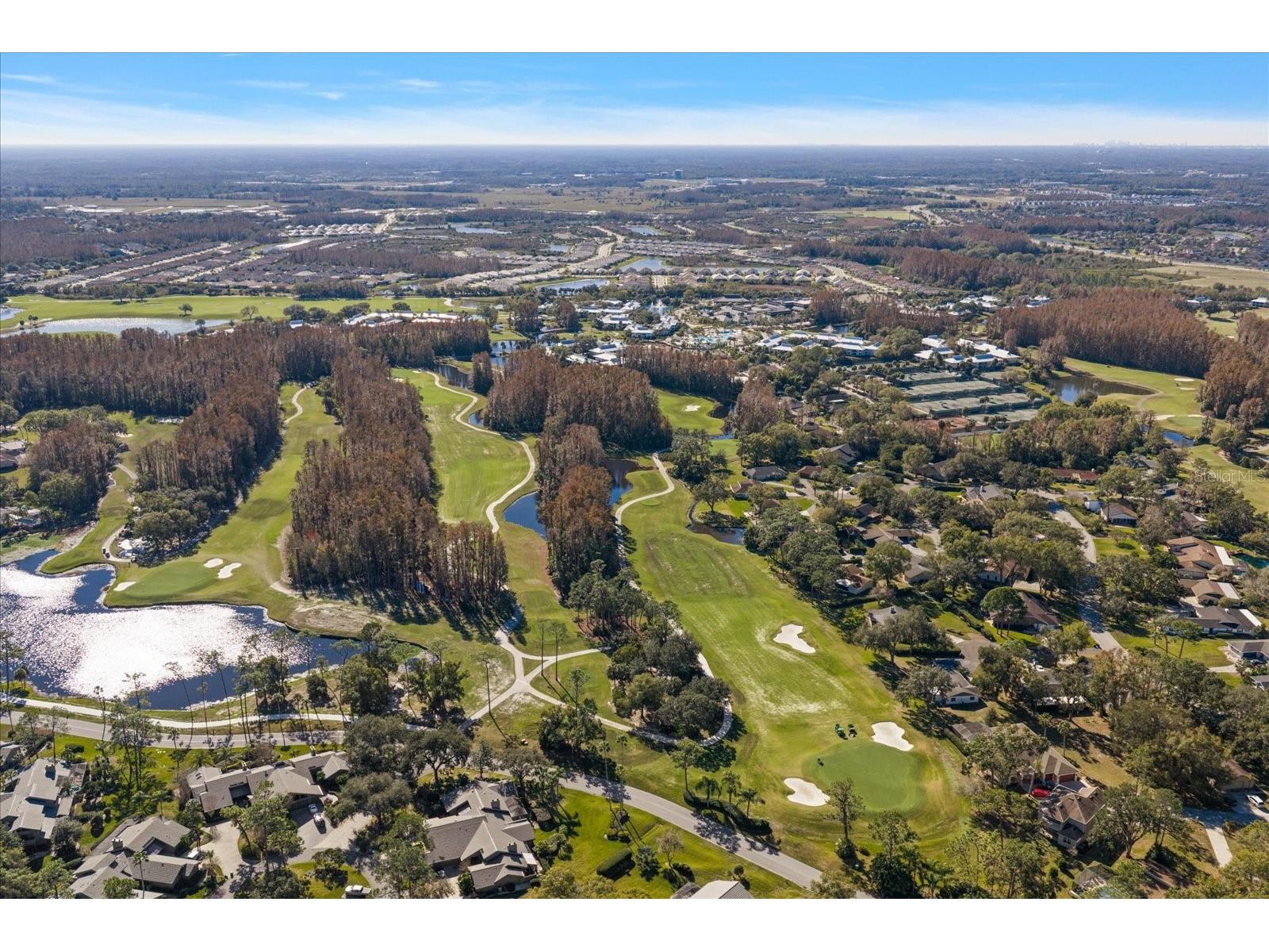 5243 Foxhunt Drive Wesley Chapel FL 33543 TB8462307 image47