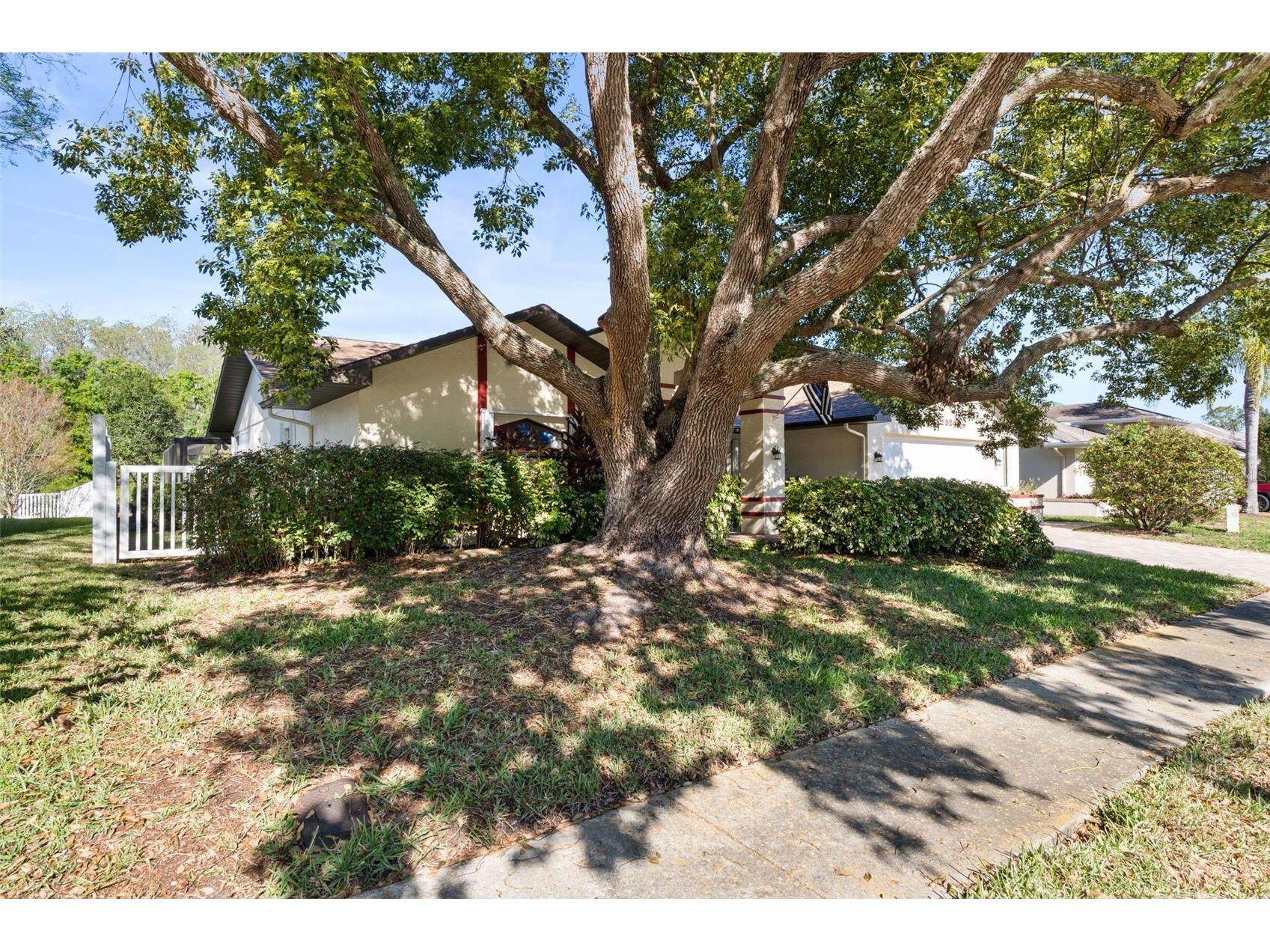 5243 Saltamonte Drive New Port Richey FL 34655 W7885688 image3