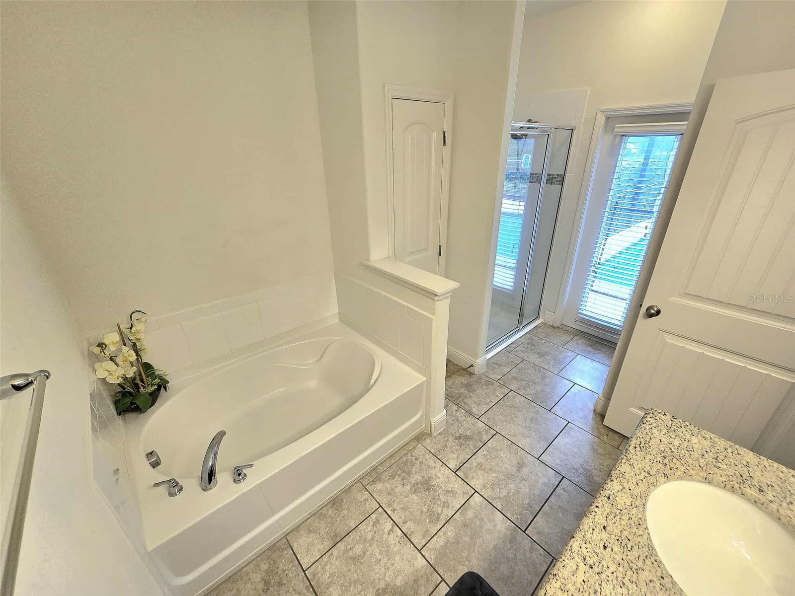 5243 Wildwood Way Davenport FL 33837 A4689430 image29