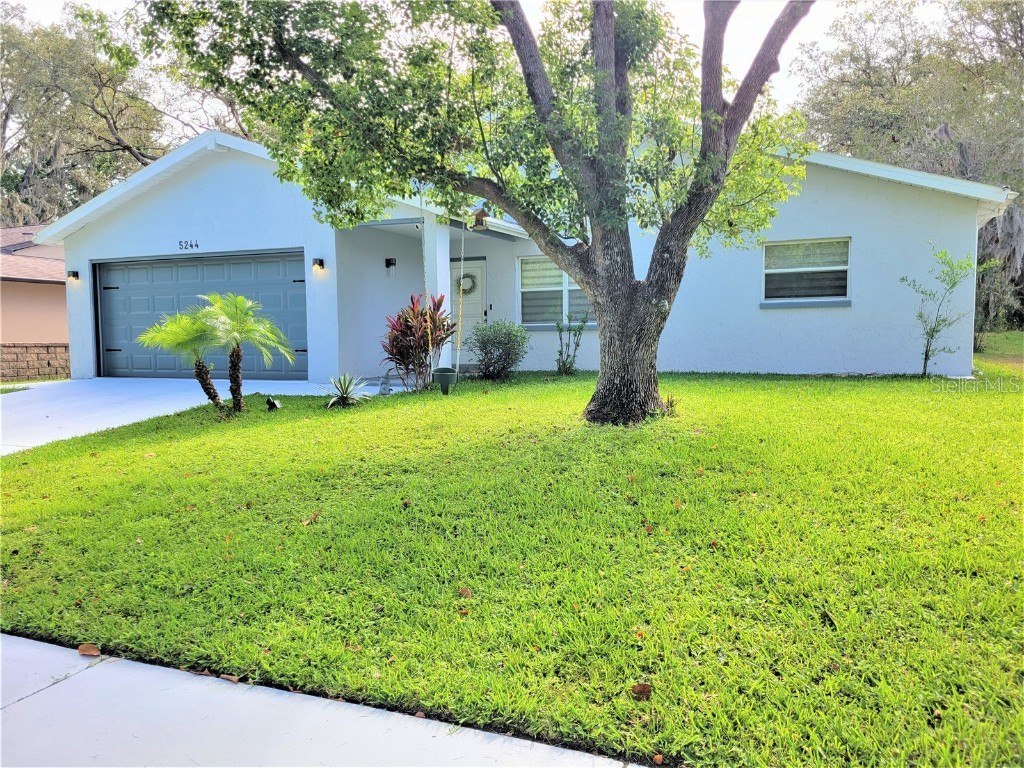 5244 Doe Eyed Court New Port Richey FL 34653 U8204303 image1