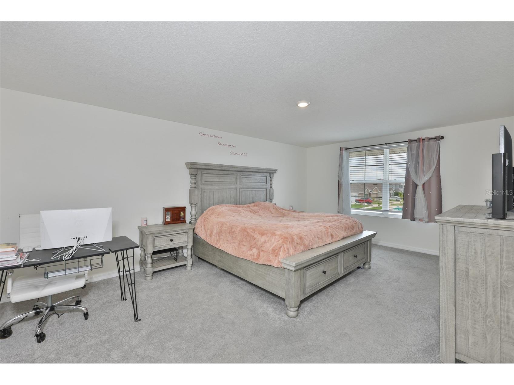 5244 Fiddle Fig Avenue Wimauma FL 33598 TB8518706 image18