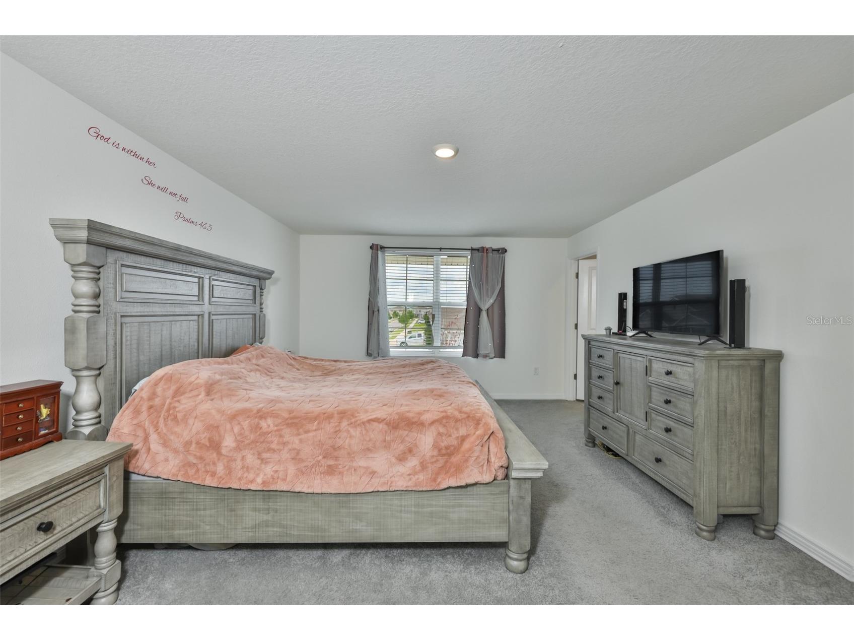 5244 Fiddle Fig Avenue Wimauma FL 33598 TB8518706 image19