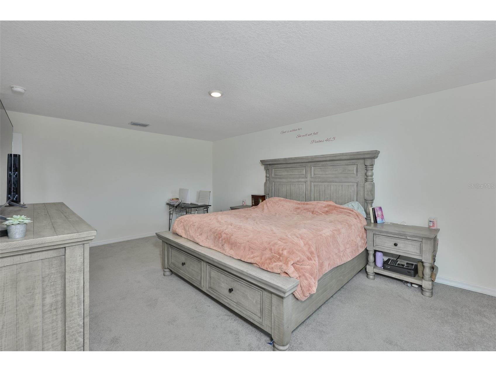 5244 Fiddle Fig Avenue Wimauma FL 33598 TB8518706 image20