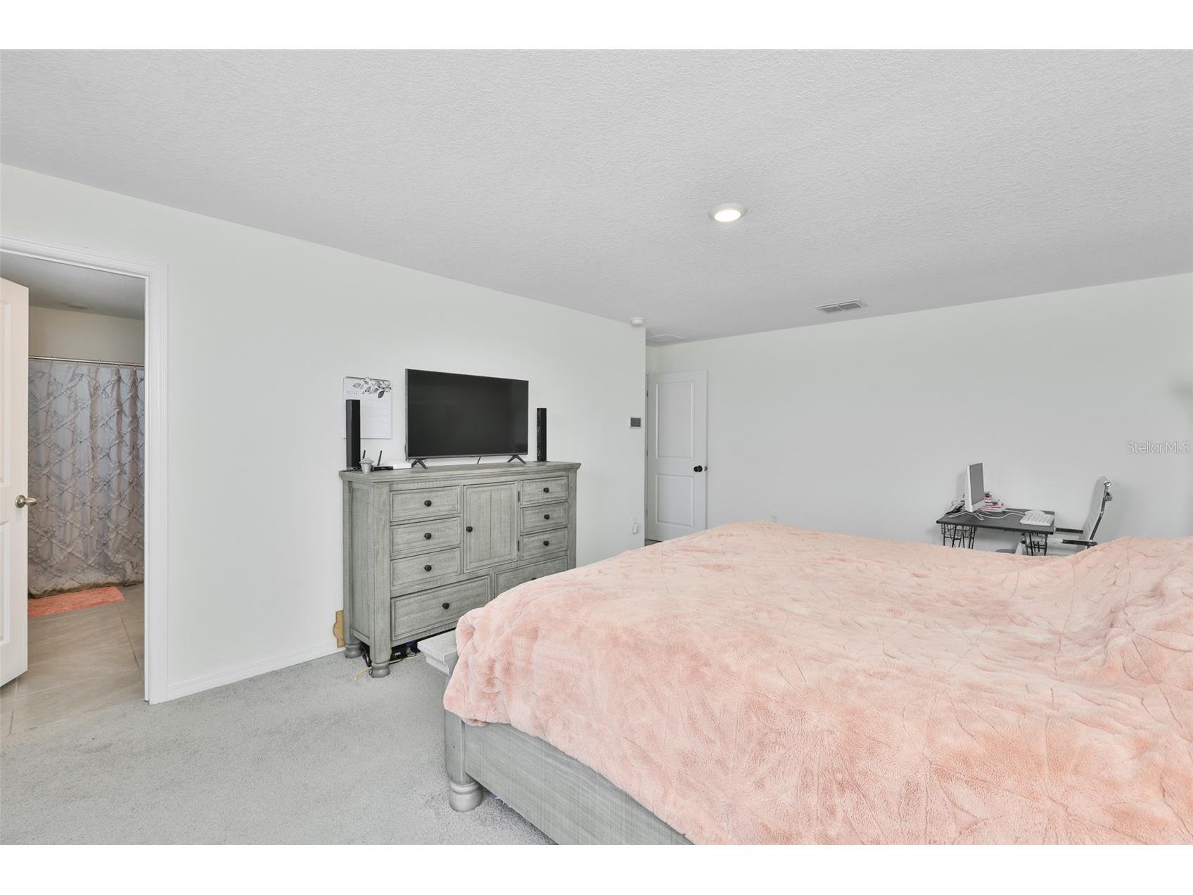5244 Fiddle Fig Avenue Wimauma FL 33598 TB8518706 image21