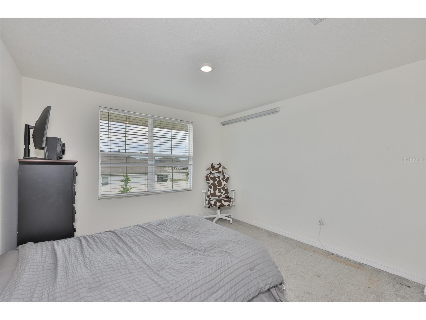 5244 Fiddle Fig Avenue Wimauma FL 33598 TB8518706 image29