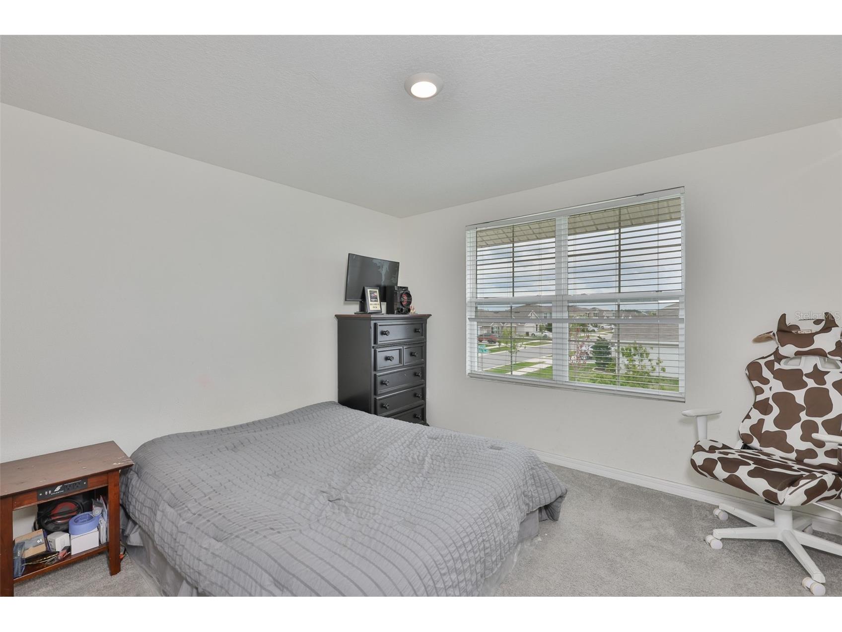 5244 Fiddle Fig Avenue Wimauma FL 33598 TB8518706 image30